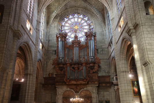 Beziers Cathedral Puget [Hauptwerk]